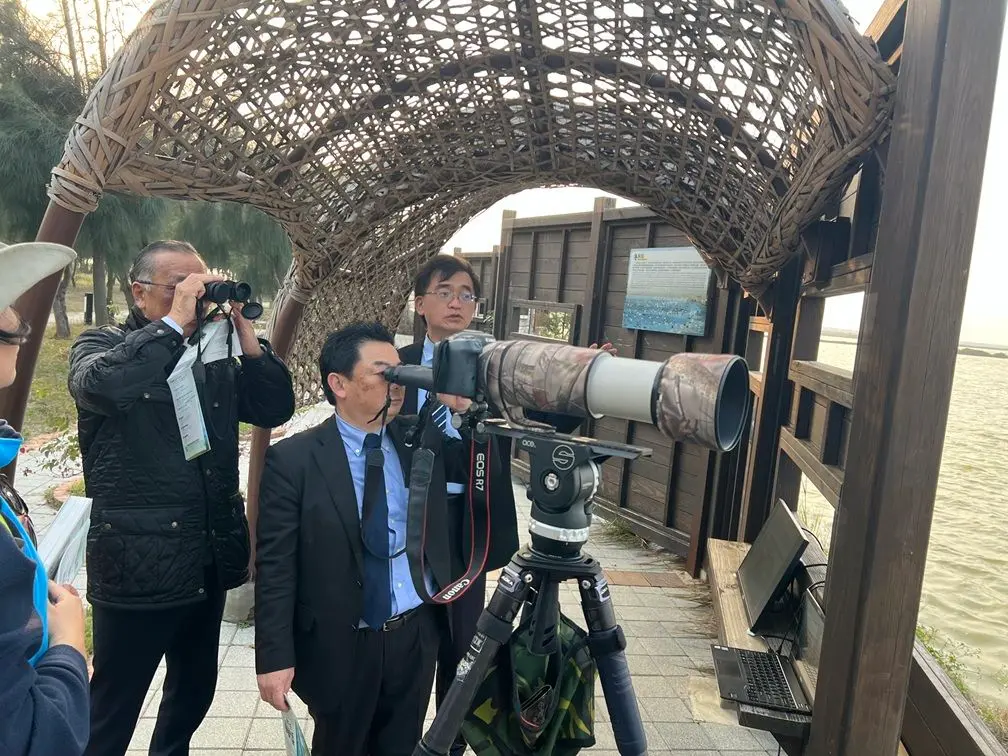 ▲出水市長及鶴博物館館長於布袋濕地新岑公園賞鳥。(圖/雲嘉南管理處提供)