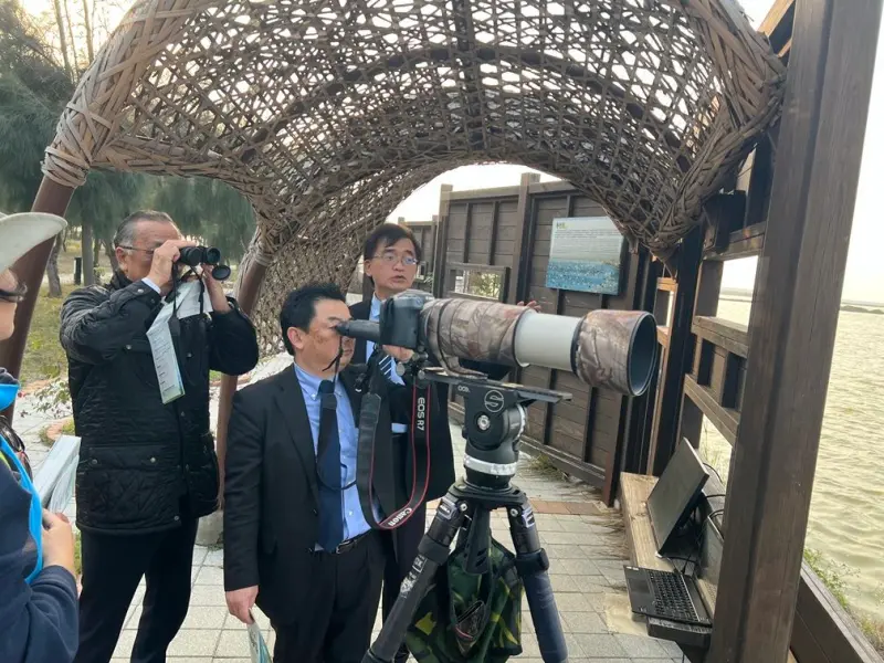 ▲出水市長及鶴博物館館長於布袋濕地新岑公園賞鳥。(圖/雲嘉南管理處提供)
