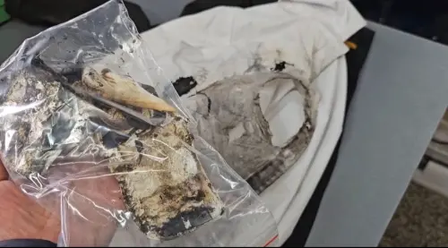 ▲民眾使用磁吸式行動電源充電，才用半年左右，就突然爆炸起火，造成睫毛、頭髮、左半邊臉頰眼皮全部二度燒傷。（圖／翻攝畫面）