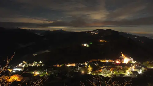 ▲阿里山(圖/記者賴禹妡攝) ▲阿里山(圖/記者賴禹妡攝)