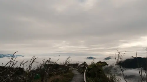 ▲阿里山(圖/記者賴禹妡攝) ▲阿里山(圖/記者賴禹妡攝)