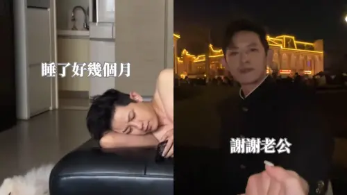 ▲發發做出回顧影片，紀錄敖犬對她的所有照顧。（圖／IG piglettickle）