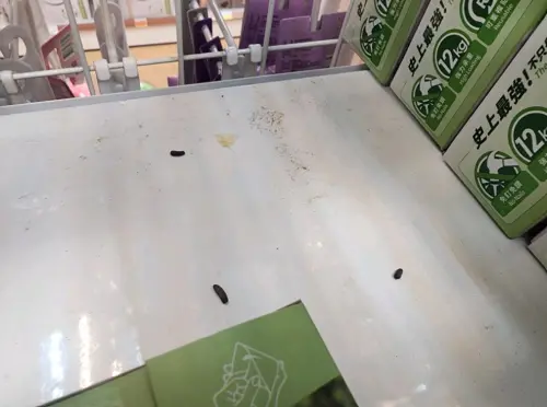 ▲有民眾到桃園某間寶雅購物，發現貨架上有不少「老鼠屎」，嚇到不敢買。桃園市衛生局也回應，已派員稽查，若仍不合格將依法開罰（圖／翻攝畫面）