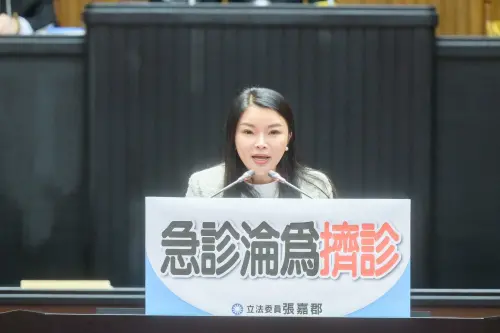 醫療體系大崩潰!眾藍委疾呼提改革 籲把預算拿來改善急診雍塞