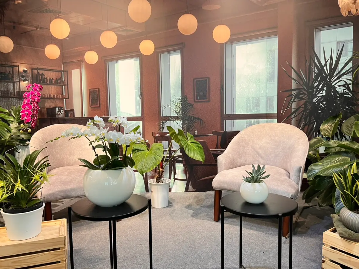 ▲屏東農業物產館蘭花展，2月24至3月23日展出。（圖／屏東縣府提供）