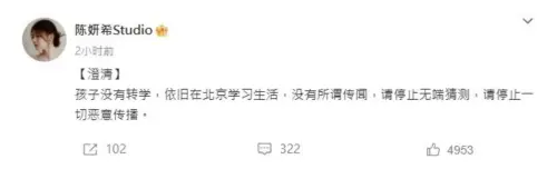 ▲陳妍希在微博發聲，告誡網友不要惡意揣測。（圖／陳妍希 微博）