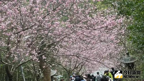 連假出遊旅平險怎麼保？國內旅遊也有隱藏風險　專家教戰投保策略
