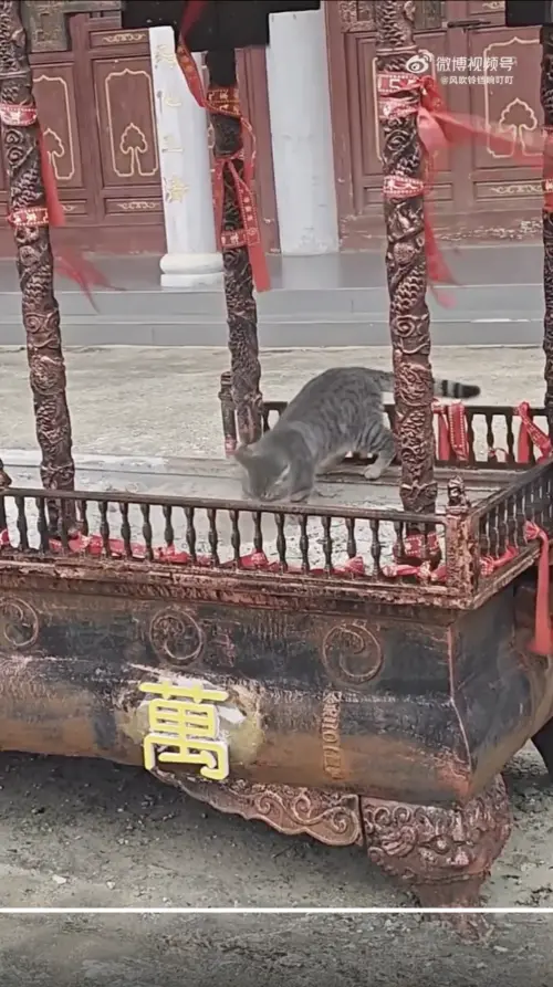 ▲（圖／翻攝自微博）