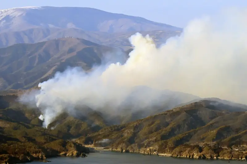 ▲日本岩手縣大船渡市近日接連發生山林火災，昨（26）日又爆出一起新的山林大火，且持續延燒至今日。（圖／美聯社／達志影像）