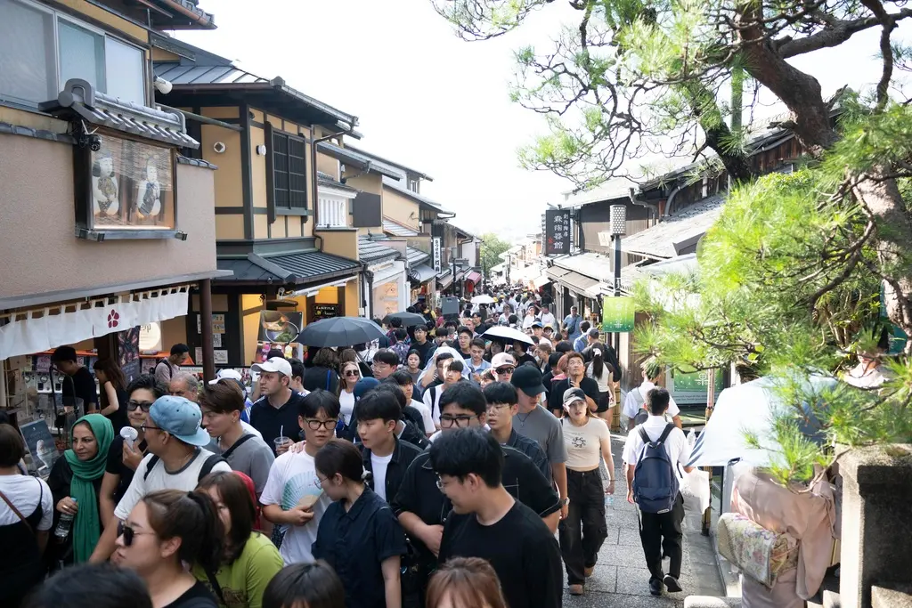 退票50萬張「中國人還是要飛日本」網友爽逛打卡：根本沒影響