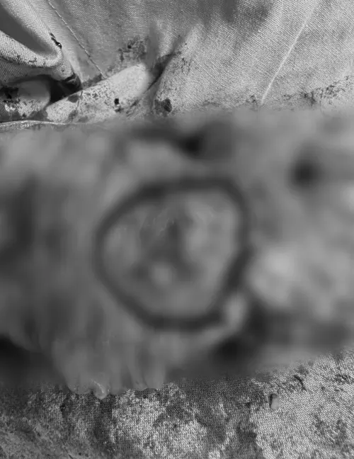 ▲超哥切除大腸部位的近照，血肉模糊的畫面不忍直視。（圖／超哥經紀人提供）