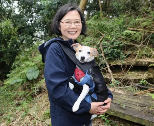 爬山魂被開啟!蔡英文挑戰樟之細路 笑稱樂樂「走到懷疑狗生」