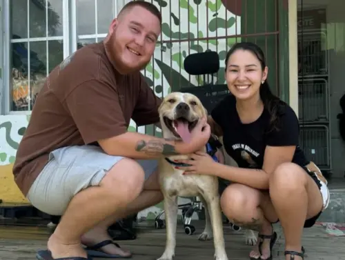 ▲這隻忠犬已經獲得好主人收養，並取名為史酷比。（圖／翻攝IG@deolhobc）