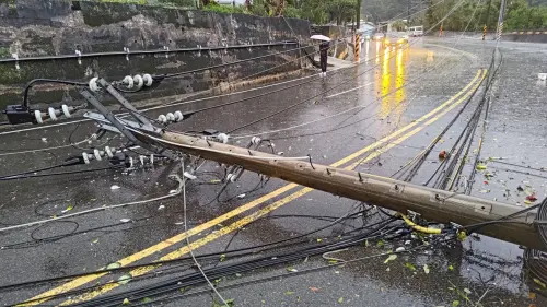 受強風豪雨影響,電線桿橫倒於道路中央、周圍樹木倒下,中斷現場交通,所幸現場未造成任何人員傷亡。(圖/大湖分局提供) ▲受強風豪雨影響,電線桿橫倒於道路中央、周圍樹木倒下,中斷現場交通,所幸現場未造成任何人員傷亡。(圖/大湖分局提供)