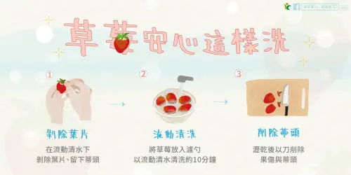 ▲草莓正確清洗步驟，記得洗好後要吃前才切掉蒂頭喔。（圖／農糧署鮮享農YA臉書）
