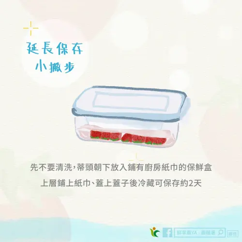 ▲還沒有要吃的草莓先不要洗，蒂頭朝下放在鋪有廚房紙巾的保鮮盒裡，上層覆蓋紙巾再蓋蓋子，冷藏可保存約2天。（圖／農糧署鮮享農YA臉書）