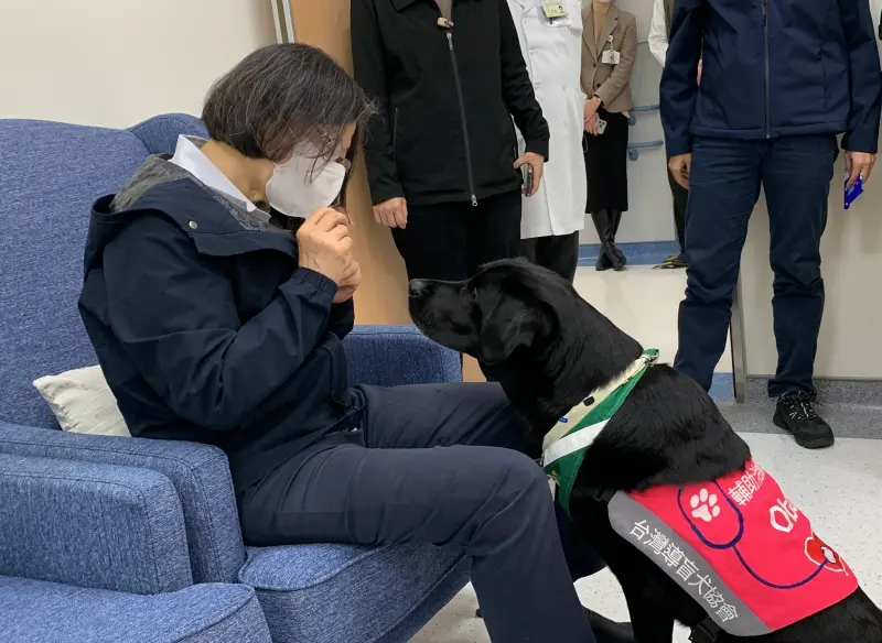 ▲蔡英文前總統帶來自家烘製的巴拉圭牛肉乾，慰勞北榮輔助治療犬、榮譽員工「歐巴」。（圖／翻攝自臺北榮民總醫院）」