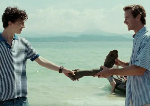 ▲《以你的名字呼喚我》中，艾米漢默（右）與提摩西夏勒梅有戀愛對手戲，可是戲外艾米嘗試和男性在一起，完全不成功。（圖／摘自IMDb）