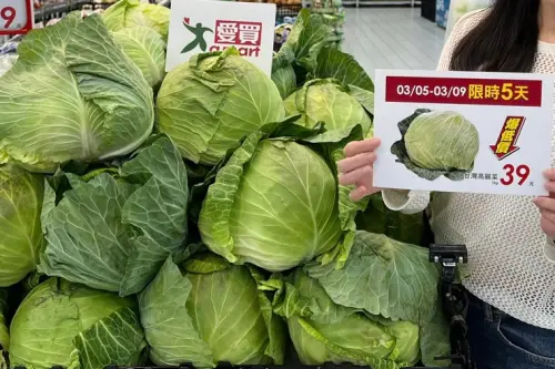 ▲愛買量販台灣高麗菜即日起至3月9日限時下殺39元。（圖／愛買量販提供）