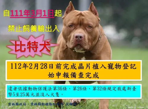 ▲台灣2022年3月已禁養比特犬,續養的比特犬都要登記。(圖/雲林動植物防疫所提供) ▲台灣2022年3月已禁養比特犬,續養的比特犬都要登記。(圖/雲林動植物防疫所提供)