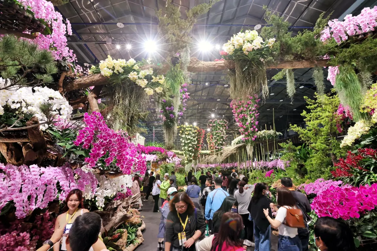 ▲2025台南蘭花展（台灣國際蘭展）今日登場，於後壁臺灣蘭花生物科技園區展出，今年規劃四大場域和五大展館，本文整理亮點、交通與接駁等資訊一次看。（圖／取自台南旅遊臉書）