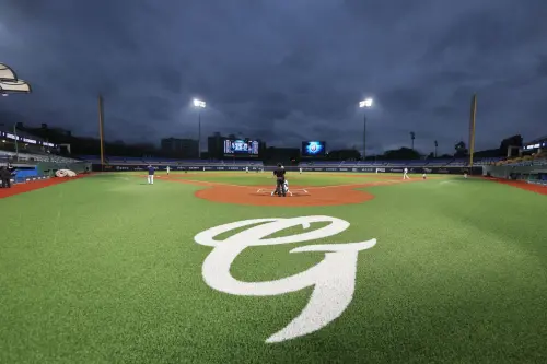 富邦悍將主場界外區增設人工草皮。(圖/富邦悍將提供) ▲富邦悍將主場界外區增設人工草皮。(圖/富邦悍將提供)