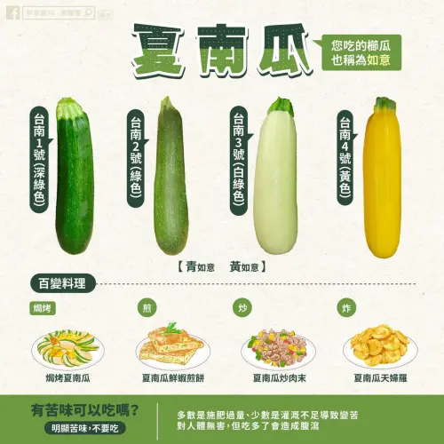 櫛瓜苦味來源是「葫蘆素」,但微量的葫蘆素對人體影響不大,如果入口覺得很超苦,就建議不要食用。(圖/農糧署提供) ▲櫛瓜苦味來源是「葫蘆素」,但微量的葫蘆素對人體影響不大,如果入口覺得很超苦,就建議不要食用。(圖/農糧署提供)