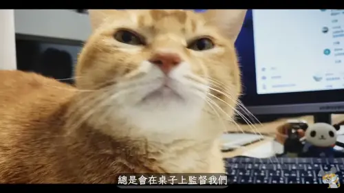 ▲理財YouTuber「柴鼠兄弟」（圖／翻攝自柴鼠兄弟YouTube）