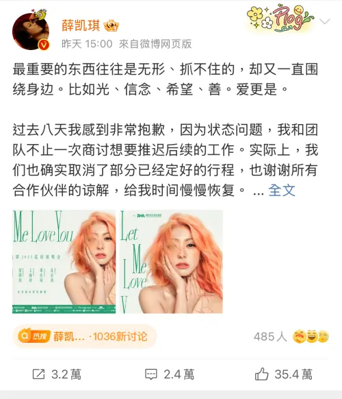 ▲薛凱琪假哀悼真宣傳？緬懷方大同「卻放演唱會海報」　遭酸民嗆爆（圖／薛凱琪微博）