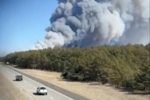 影／美國野火再起！紐約長島爆發大範圍野火　州長宣布緊急狀態
