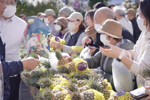 ▲日本民眾選購屏東鳳梨買氣踴躍。（圖／屏東縣府提供）