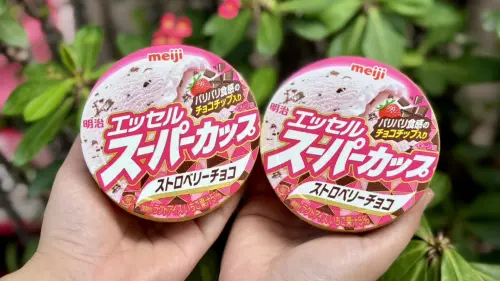 ▲明治超級杯冰淇淋人氣票選口味「巧克莓莓」再度回歸，單件79元。（圖／業者提供）