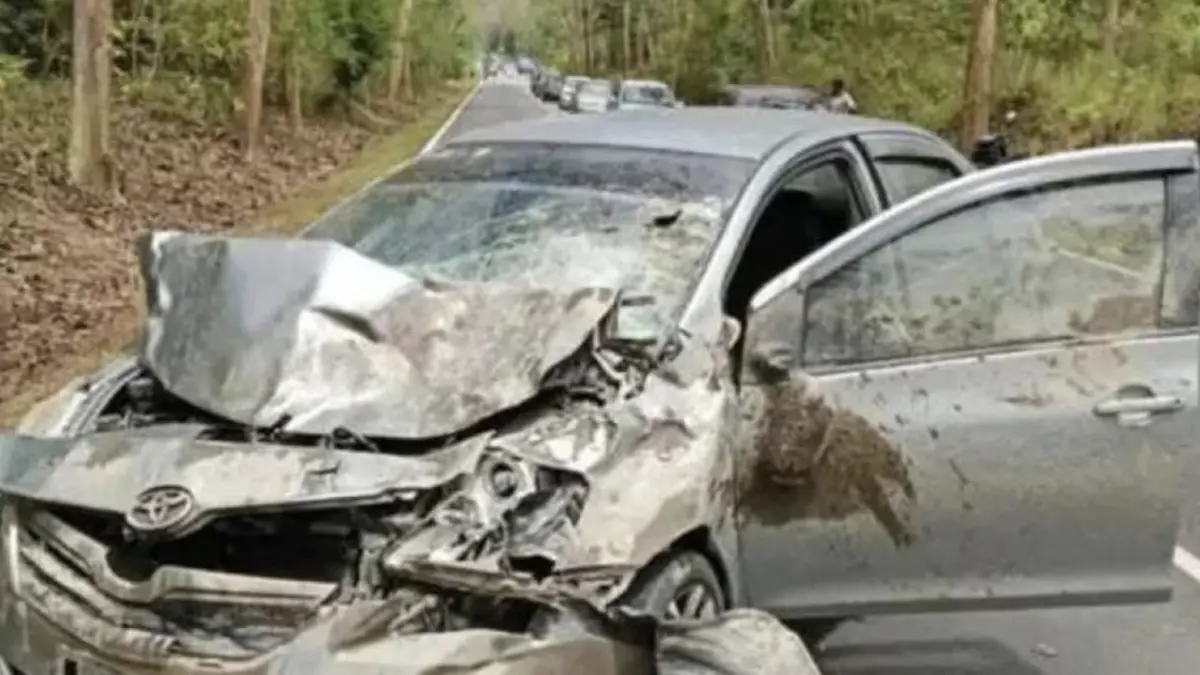 ▲大馬車輛因撞上水牛而車頭則毀損嚴重。（圖／翻攝自臉書）