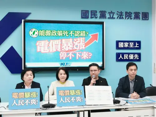 不補貼台電1000億「電價恐調幅約25%」　藍轟：間接資助綠能
