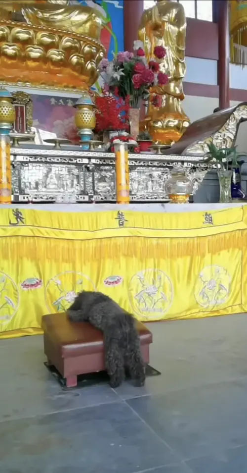 ▲(圖/翻攝自YT) ▲(圖/翻攝自YT)