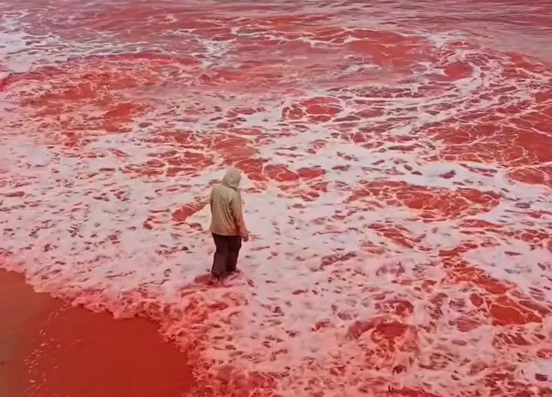 ▲伊朗彩虹島降下「血雨」，海水和海灘瞬間被染紅，末日般的場面震撼百萬人。（圖／翻攝IG@hormoz_omid）