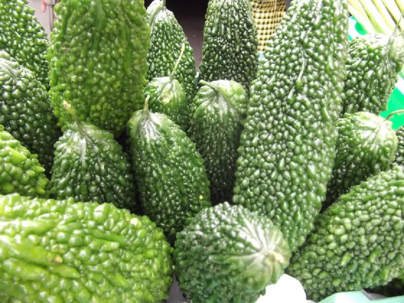 苦瓜正便宜！阿基師教一招吃起來不苦　夏天必吃：苦瓜鹹蛋這樣炒