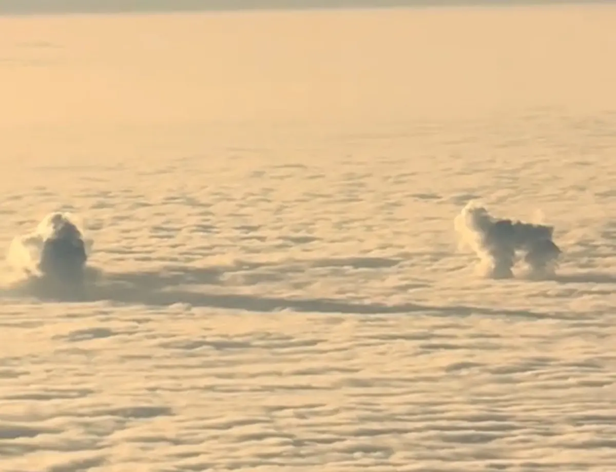 ▲一名女飼主搭乘飛機撞見，神似已逝狗狗正在玩球的白色雲朵，讓她當場淚崩。（圖／翻攝Tiktok@charlottemaltaparty）