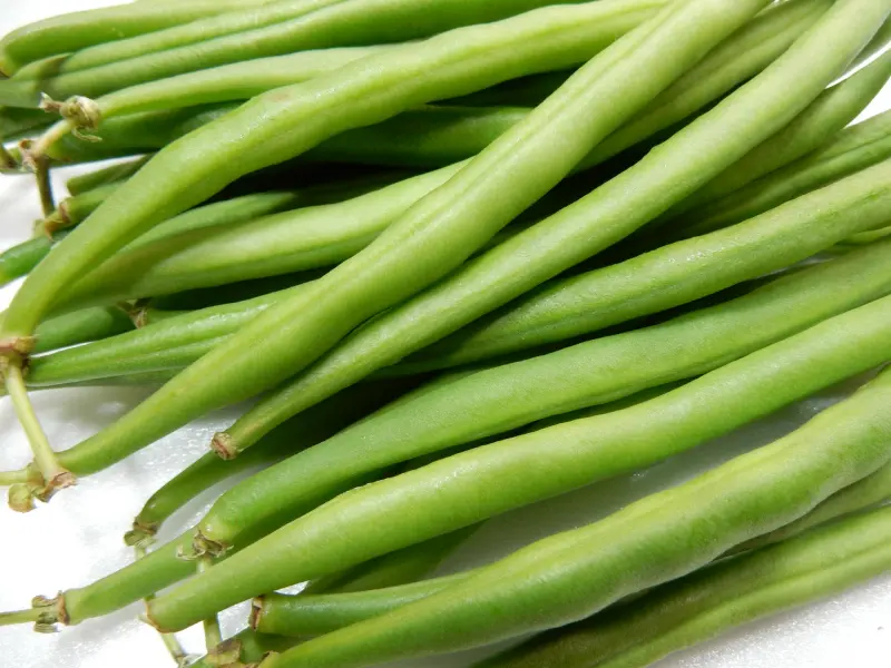 ▲四季豆（敏豆）價格開始變便宜了，本周平均批發價每公斤60.4元，表示吃豆季節快到了。（圖／取自photoAC）