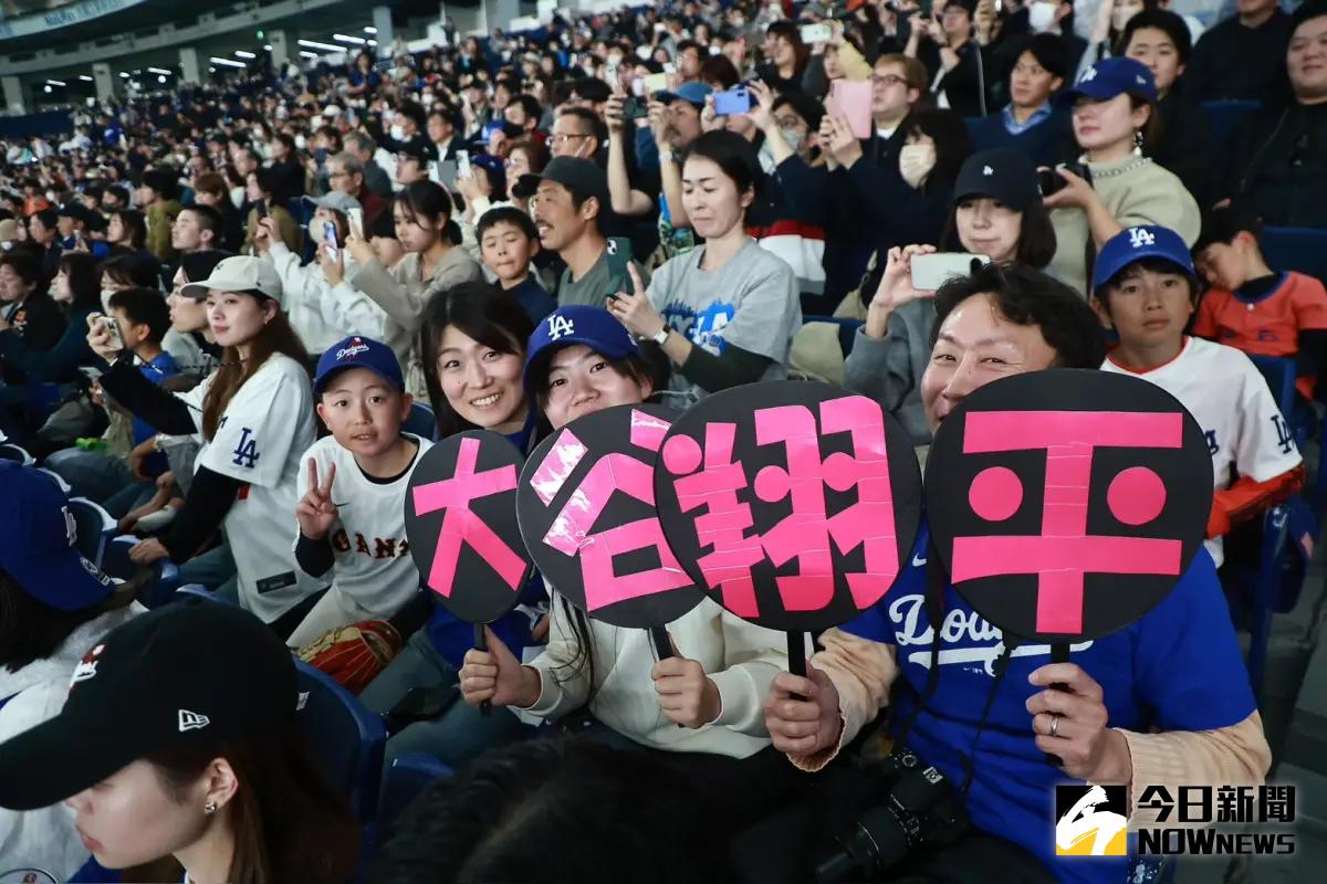 ▲東京巨蛋現場破萬名球迷進場，只為了看大谷翔平以及洛杉磯道奇隊練球。（圖／記者葉政勳攝）
