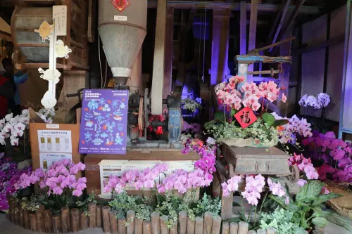 ▲「義昌碾米廠」坐落於後壁區的菁寮老街，也是《俗女養成記》的拍攝地。遊客可漫步於老街，參觀手工藝品店、也可欣賞蘭花的布置。（圖／南市府提供）