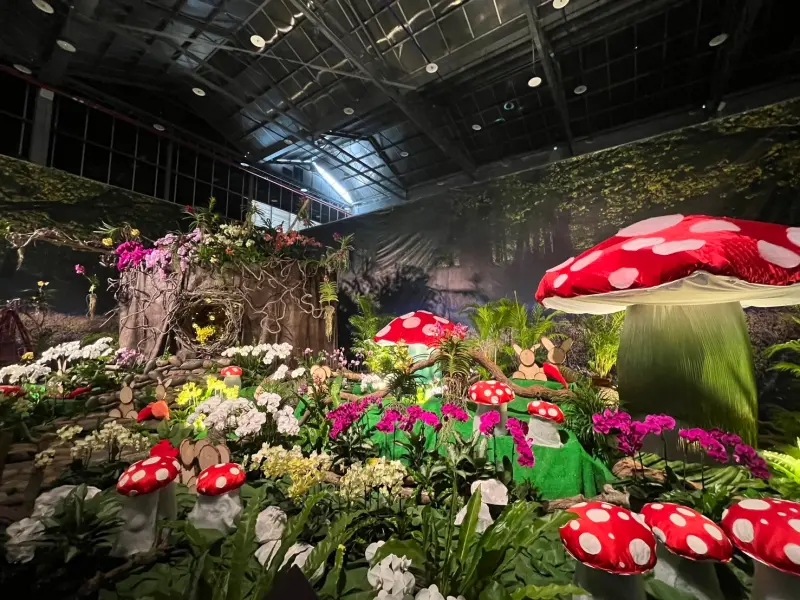 ▲2025臺灣國際蘭展讓臺灣蘭花，結合科技與藝術，展現蘭花產業技術與創新，蘭展展期至3月23日，歡迎全國民眾把握機會來賞遊。(圖／南市府提供)