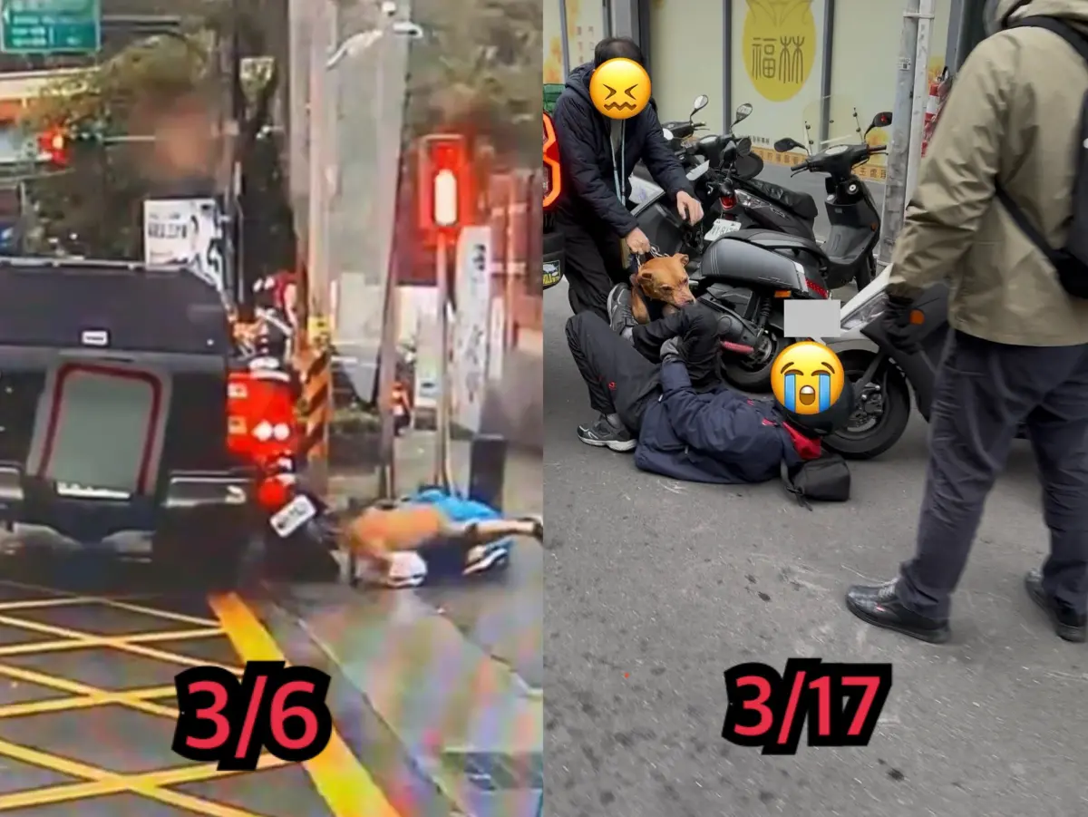 ▲台北市11天發生2起比特犬攻擊事件。（圖／翻攝PTT）