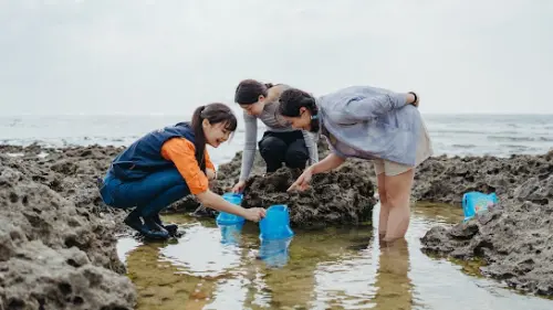 海生館推全新「日潮」潮間帶探秘體驗活動
