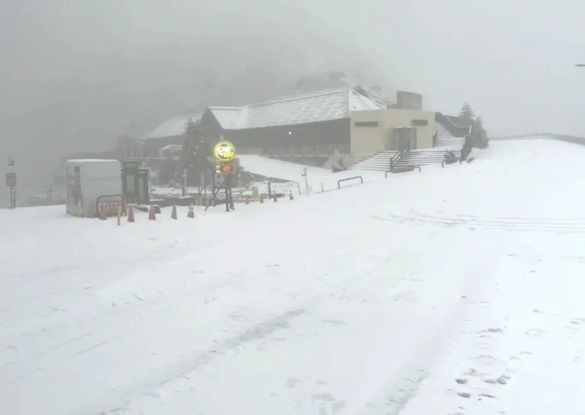 ▲強烈大陸冷氣團搭配華南水氣，今（18）日清晨不少山區出現降雪，包括玉山、合歡山、福壽山農場、拉拉山、太平山等。（圖／林保署南投分署提供）