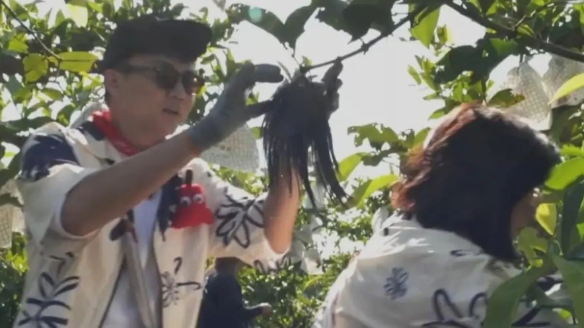 ▲王彩樺（右）假髮片被樹枝勾住，下秒真面目曝光，忍不住當場崩潰：「救命！」（圖／三立提供）