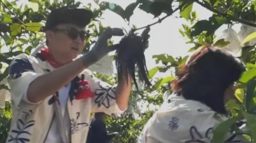 王彩樺假髮片被樹枝勾住！下秒真面目全看光　當場崩潰喊：救命
