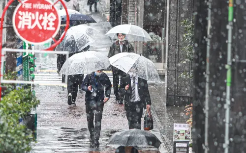 ▲日本下雪、東京雨夾雪、日本下雨、日本天氣配圖。（圖／記者葉政勳攝，2025.3.19）
