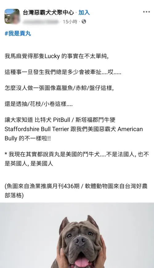 ▲（圖／翻攝台灣惡霸犬犬聚中心臉書）