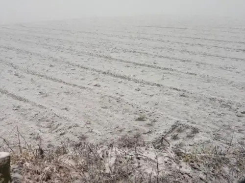 新竹尖石鄉低溫飄雪!秀巒衛生室湧入氣喘、感冒、燒燙傷病患